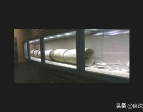 遼寧男籃拒絕放棄！楊鳴留下藍領外援，能否成為奪冠拼圖？