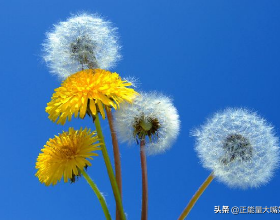 商品房預售資金監管調整將緩解房企“困境風暴”？