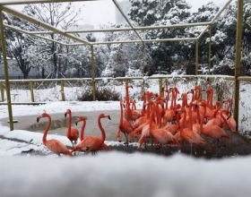 古時京城有多浪漫？首博121元件文物講述京城春日風物之美