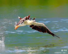 來到朝鮮，有什麼有趣的&OpenCurlyDoubleQuote;娛樂專案&rdquo;嗎？給你答案