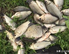 &OpenCurlyDoubleQuote;全款買房&rdquo;和&OpenCurlyDoubleQuote;按揭買房&rdquo;，到底有多大差別？經濟學家給出答案