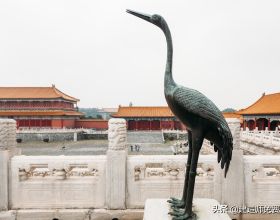 急性蕁麻疹在飲食上需要注意哪些