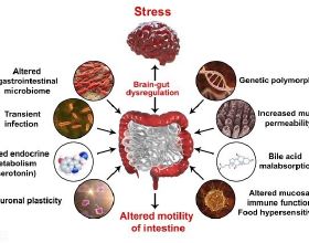 新能源重卡1月銷量暴增滲透率上升到7&period;5&percnt;