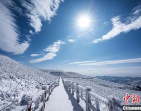 這個50㎡老破小厲害了！靠20㎡收納和四分離衛生間逆襲