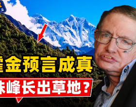 海帶昆布竟然也有偽品，下次別認錯了