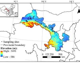 豬肉板塊持續走低