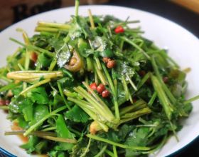 東漢末年至三國中存在感極低的鎮邊大將（六）