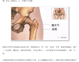 住經濟適用別墅的偽中產（十）逛完建材，我的87萬預算又陣亡了