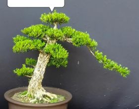 父親把房子過戶給兒子，需要花多少錢？