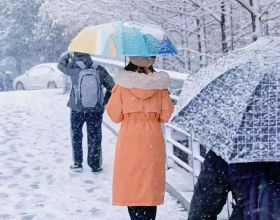 觸樂夜話：SE確實找到財富密碼了