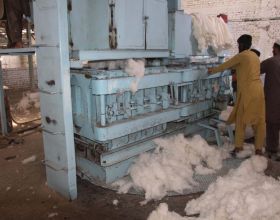 阿富汗：復工的棉花加工廠