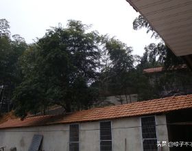 冷卻塔堵漏施工計劃