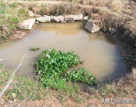 太奇怪了，湖南有一口五百多年的水井為什麼突然幹了？