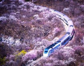 燕趙英烈｜李湘：志願軍犧牲的最高將領