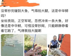 貴陽釣魚人在河邊正釣著魚，河面忽然漂來一條“中華鱘”