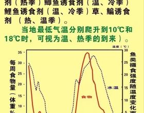 一個案例告訴你，治療豬偽狂犬並不難，難的是怎麼辨別