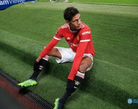 桃李甲天下李子園今年將嚴格把控市面上假冒偽劣清泉蜜脆李子苗