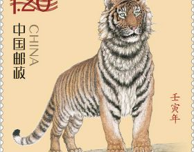 虎年生肖郵票正式亮相：虎媽媽帶著兩隻小虎很溫馨