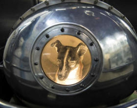 第一隻進入太空的狗，在宇宙飄了63年，人類為何要毒死它