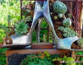 排球女神魏秋月:中國女排靈魂二傳,15歲與老公相識,還被郎平催婚