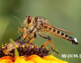 這些祛痘藥可能爛臉！如何預防爛臉？