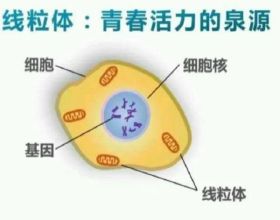 做事不是喊口號，而是要付出行動