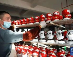 油菜花和蘿蔔花的區別