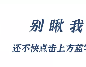 他說 他說 他說