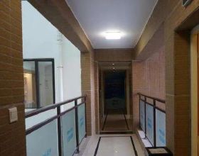 堅持的意義是什麼？