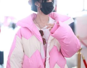 陽臺上的綠植長勢不錯！逛花店拍了美麗的花卉照片