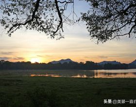 中國古代史（隋唐）（五十八：楊炎入相、李忠臣歸朝）