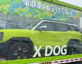 哈弗X-DOG實車曝光 外觀新潮年輕化