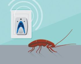無線電波干擾了蟑螂