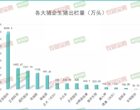 說說這個事情，“大地返力”，提升你的認知