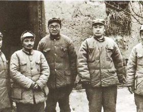 7種大型花，號稱“死不了”，看著很霸氣，還能吸廢氣，值得養