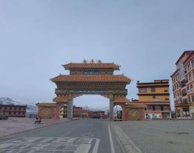 立春後，寧可不吃肉，也要吃這5種春菜，鮮嫩營養高，別錯過