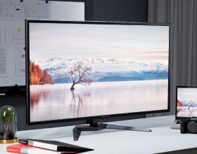 舉報！這對&OpenCurlyDoubleQuote;鳥人&rdquo;在新加坡公園公然&OpenCurlyDoubleQuote;虐狗&rdquo;，恩愛秀的甜過啦