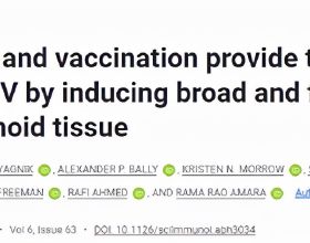 Science子刊：免疫檢查點阻斷和HIV疫苗組合使用有望治療HIV感染