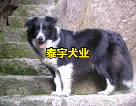 《長津湖之水門橋》唯一的女主角，可人家的登場時間卻短的可憐
