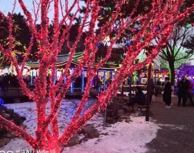 【政策】企業穩崗不要愁！失業保險給返錢