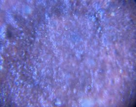 現在光怪陸離的紫砂泥名稱其實都是一種噱頭