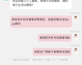日本雙鳳銀幣