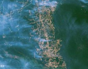 衛星直擊：亞馬遜雨林正在經歷“每年一痛”