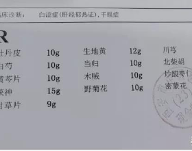 2022最強拍照手機推薦！手機拍攝功能大幅提升，攝影愛好者有福了