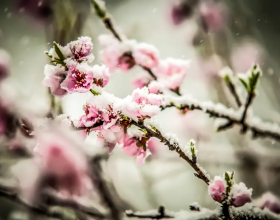 3-6年車齡最受歡迎 1月全國二手車市場交易量為148&period;46萬輛