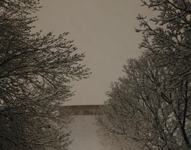 救市頻繁！市場一觸即發