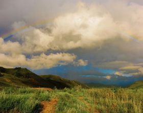 天然青黴素或被找到？提醒：每天吃點，或助消炎殺菌、增強免疫力