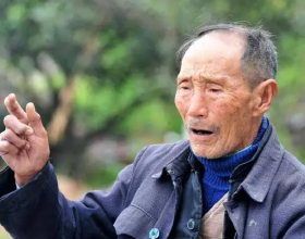 6 個簡潔小巧的 App，可以放心食用