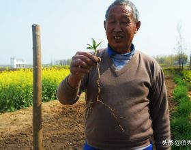 27款菜餚推薦，精選食材味道獨特，大人孩子都喜歡吃