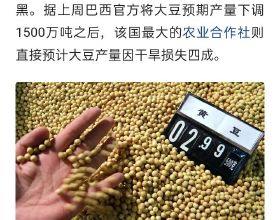 寧夏東西部科技合作成果展示中心正式啟用